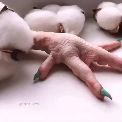 Куриные Ногти Фото